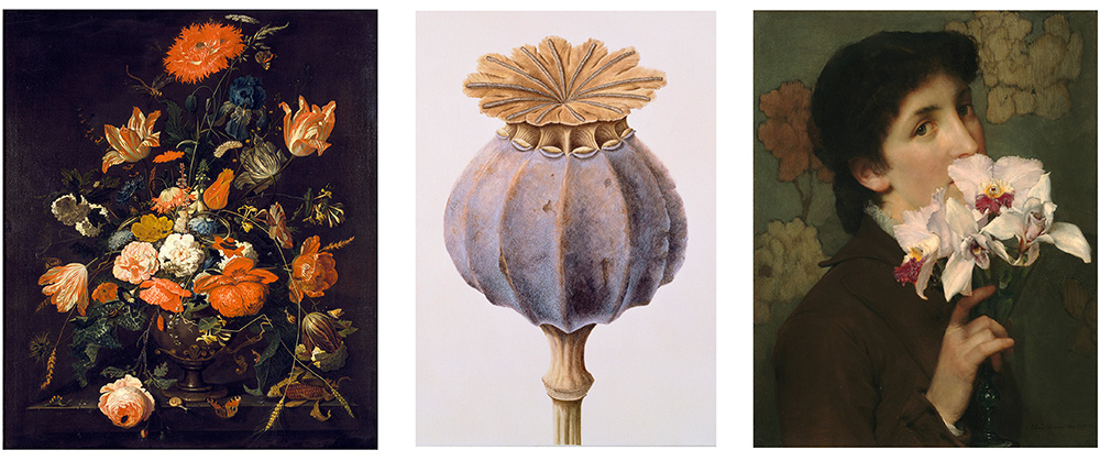 Three artworks from the In Bloom exhibition featuring a Dutch still life painting of flowers, a watercolour of poppy seeds, an oil painting of a young woman holding orchids