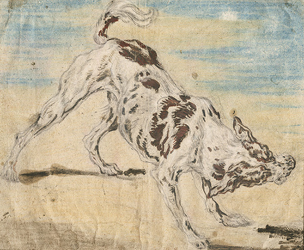 Study of a dog wagging its tail by Flemish artist Joannes Fijt in black chalk, blue transparent watercolour, brown opaque watercolour, brush in brown ink dating to 1653