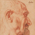 Jordaens drawing of a man's head