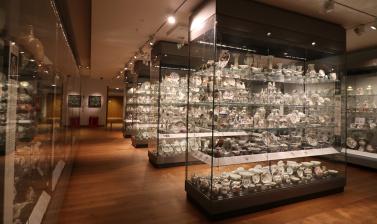  EUROPEAN CERAMICS Gallery at the Ashmolean Museum