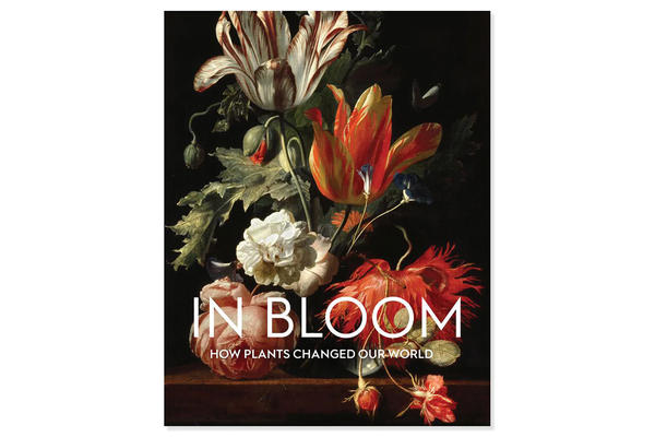 In Bloom Catalogue 2026
