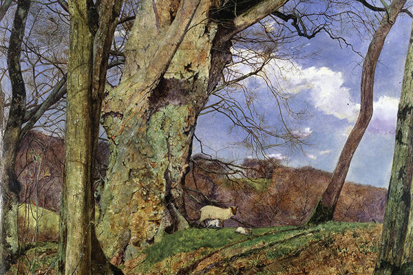 A richly coloured spring scene in a wooded area featuring foliage in the foreground, a sheep and two lambs in the mid ground and blue sky with clouds in the background.