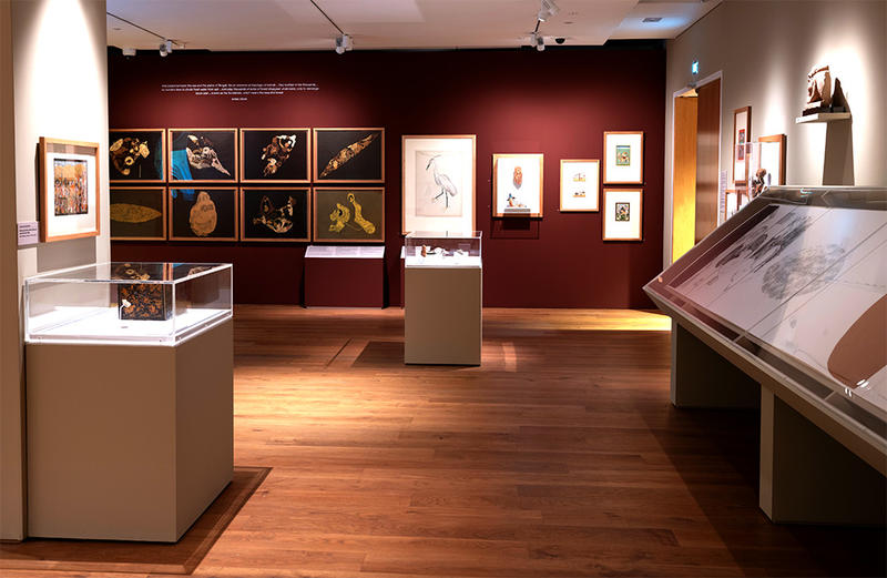 Inside Surovi's exhibition in Gallery 8