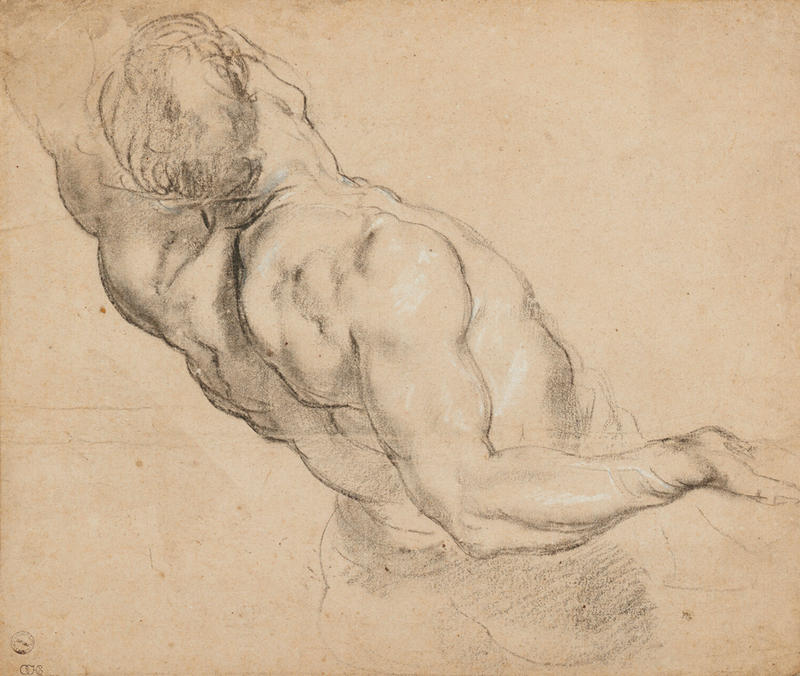 Charcoal study by Peter Paul Rubens of the study of a nude male torso and head from behind