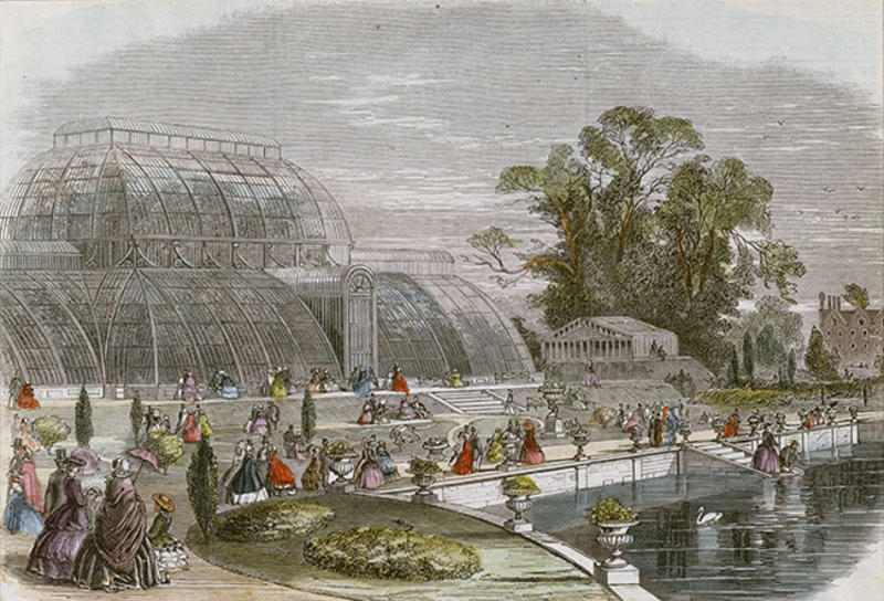 A finely engraved and coloured drawing of The Great Palm House at Kew from about 1850