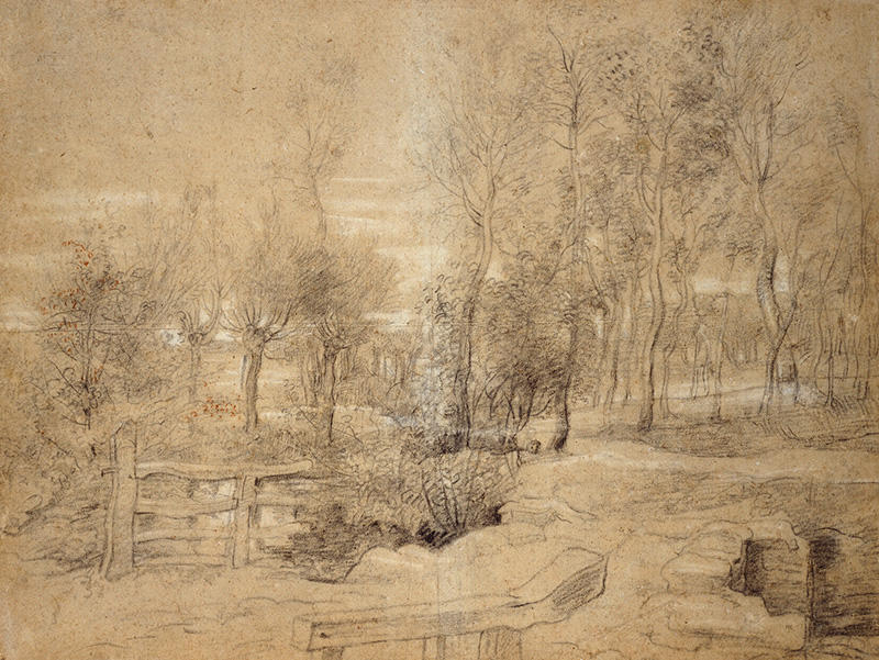 Woodland Scene, drawing by Peter Paul Rubens, c.1635–40, in charcoal, touched with red chalk on oatmeal paper