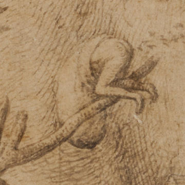 Bruegel's Temptation of St Anthony drawing detail of one of the creatures hanging on a branch upside down