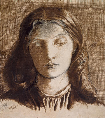 Dante Gabriel Rossetti's Portrait of Elizabeth Siddal drawing in brown pen and ink, 1855