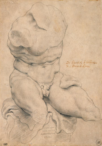 Rubens Torso Belvedere - Flemish drawings
