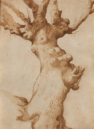 Tree drawing - Siberechts