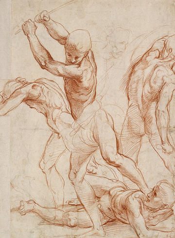 rs68887 wa 1846 193 a edi bodies 1000pxtall